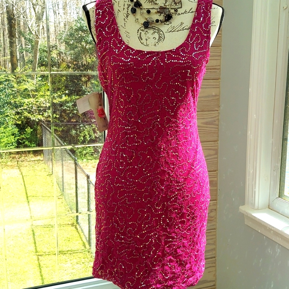 Lily Rose sleeveless dress size large